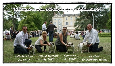 des bulls des hautes falaises - Photo de Famille