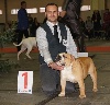  - Bruxelles dog show