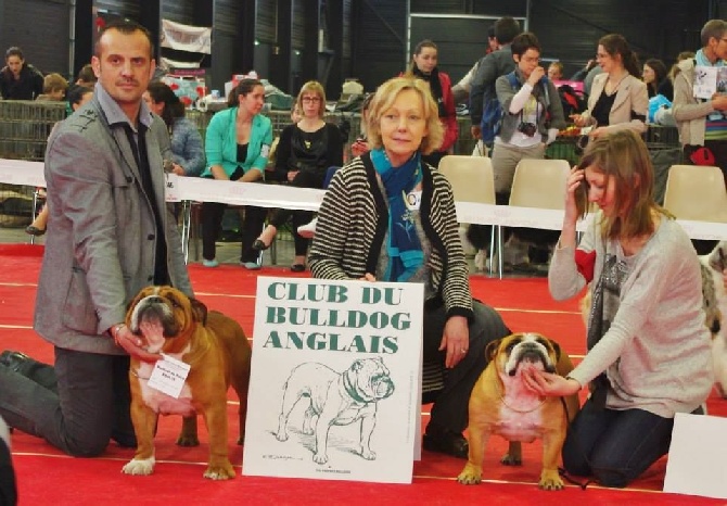 des bulls des hautes falaises - Résultats Handsome week end du 29 et 30 mars