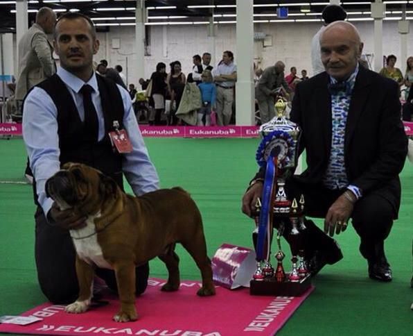 des bulls des hautes falaises - Championnat de France 2014